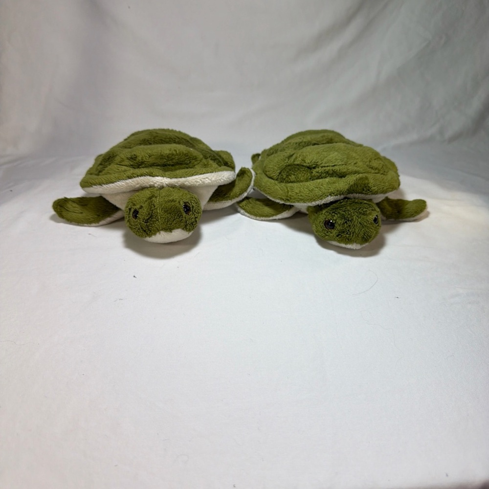 Wish pet green sea turtles